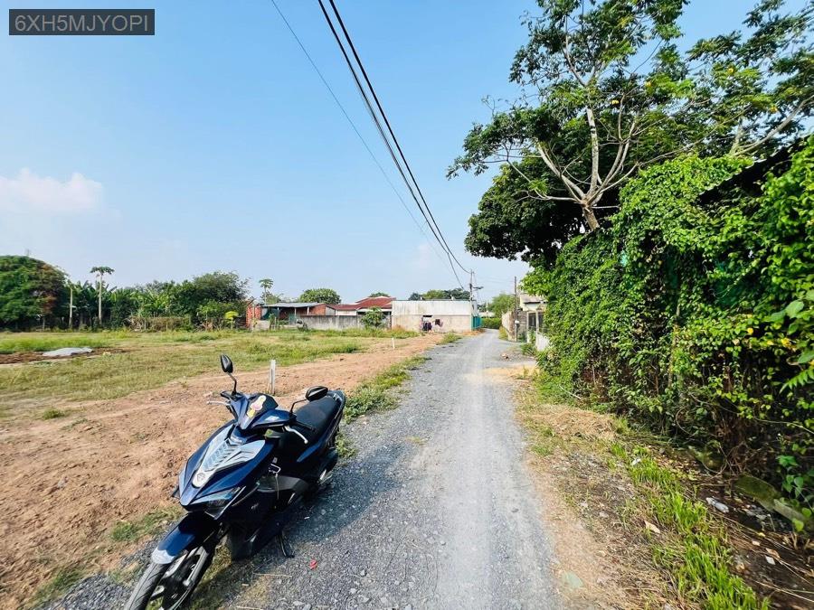 Bán đất cách TL15 180m, tổng 571m² full thổ. Đường xe hơi, xây dựng hoàn công liền - Xã Phú Hòa Đông  -  Huyện Củ Chi  - (ảnh - 3)