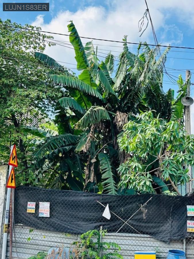 Bán đất mặt tiền Xuân Thới Thượng, đường nhựa rộng xe tải lớn . Giá 6tỷ   - Xã Xuân Thới Thượng  -  Huyện Hóc Môn  - (ảnh - 3)