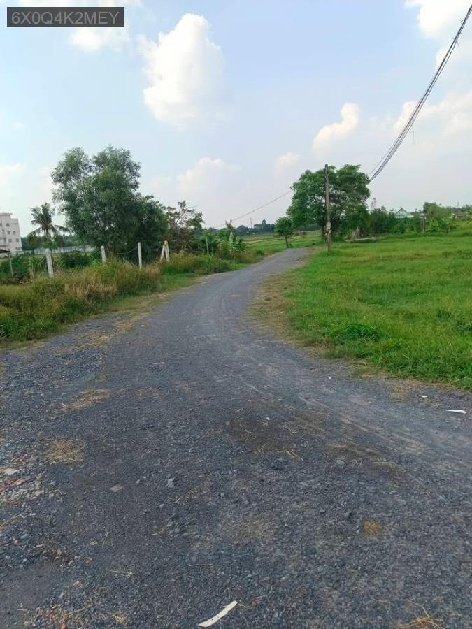 Bán đất Ấp 3 Phước Vĩnh An, diện tích 4600m có 500m thổ. Giá 13tỷ5 còn bớt - Xã Phước Vĩnh An  -  Huyện Củ Chi  - (ảnh - 3)