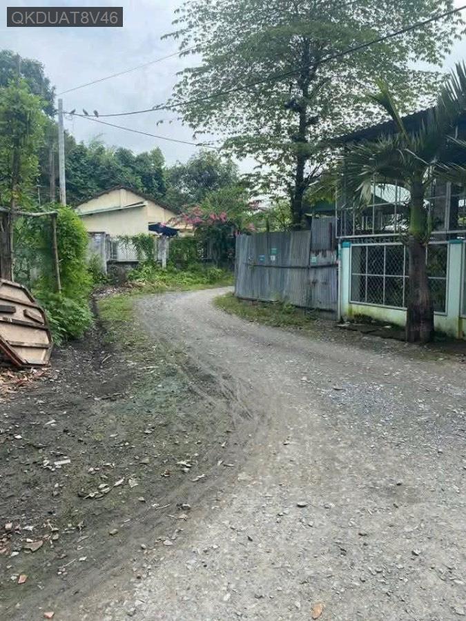 Bán nhà cấp 4 Sổ Hồng Riêng, đường Lê Thị Hồng Gấm. Gần trường học, đường hẻm ô tô - Giá 2.6tỷ - Xã Tân Thới Nhì  -  Huyện Hóc Môn  - (ảnh - 5)