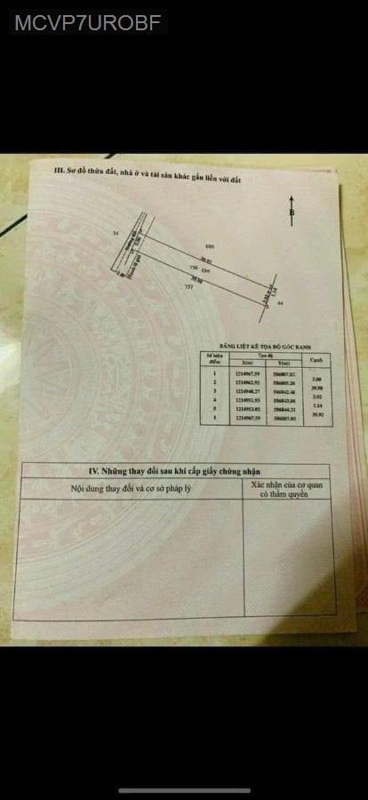Bán đất đường Tỉnh Lộ 8 Tân Thạnh Tây vào 50m. Đường ô tô thông, diện tích 5x40 full thổ cư - Xã Tân Thạnh Tây  -  Huyện Củ Chi  - (ảnh - 2)