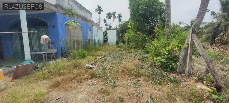 Bán đất Tỉnh Lộ 9, mặt tiền Nguyễn Thị Da. Diện tích : 475m² SHR có 120m thổ cư, xây dựng tự do - Xã Bình Mỹ  -  Huyện Củ Chi  - (ảnh - 0)