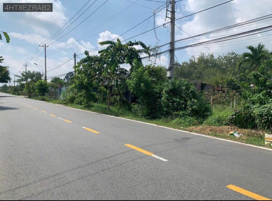 Bán đất 2 mặt tiền đường Đỗ Đăng Tuyển, mua bán kinh doanh đa ngành nghề, xây dựng tự do hoàn công  - Xã An Nhơn Tây  -  Huyện Củ Chi  - (ảnh - 3)