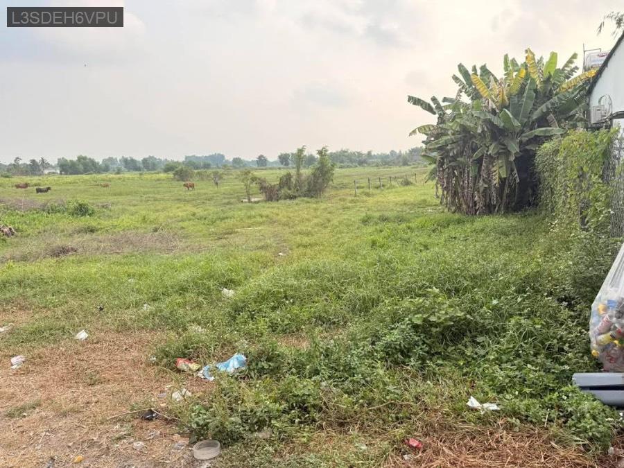 Bán lô đất mặt tiền đường Tân Thạnh Đông, diện tích 14x118. Giá 6tỷ TL - Xã Tân Thạnh Đông  -  Huyện Củ Chi  - (ảnh - 2)