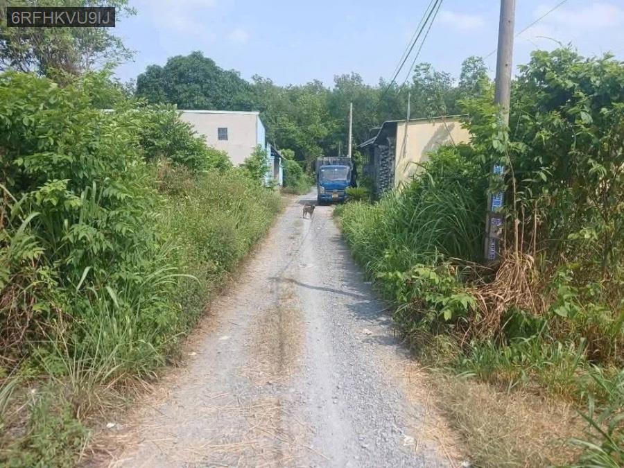 Bán đất Tân Thạnh Đông, diện tích 6.2x31 full thổ. Giá 2tỷ250triệu bớt lộc - Xã Tân Thạnh Đông  -  Huyện Củ Chi  - (ảnh - 2)