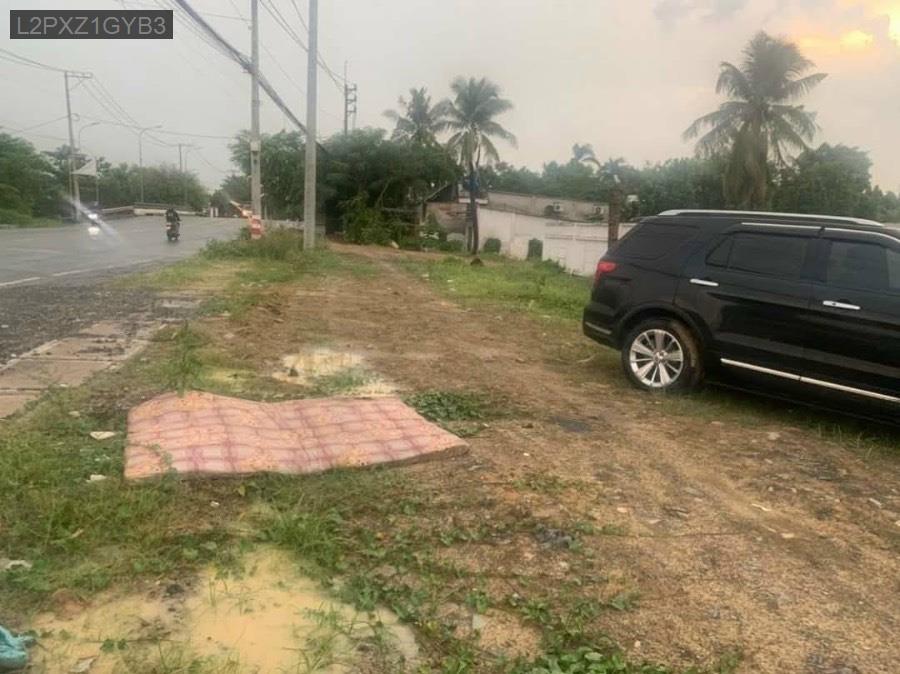 Bán lô đất mặt tiền Tỉnh Lộ 8, thuận tiện cho khách làm công ty kho xưởng - Xã Tân Thạnh Tây  -  Huyện Củ Chi  - (ảnh - 4)