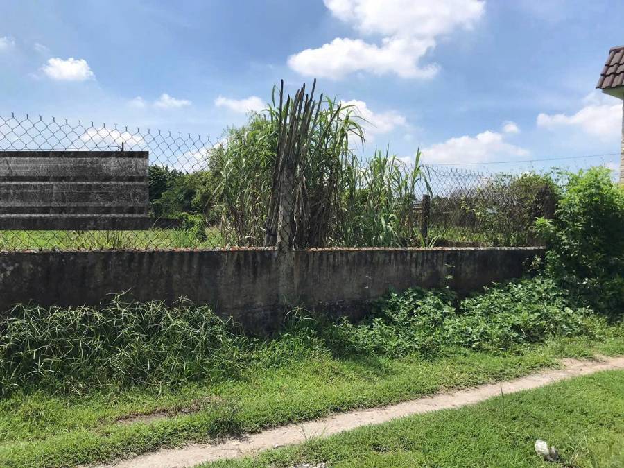 Bán đất - Xã Vĩnh Lộc A  -  Huyện Bình Chánh  - 496m² - 5.7tỷ - (ảnh - 0)