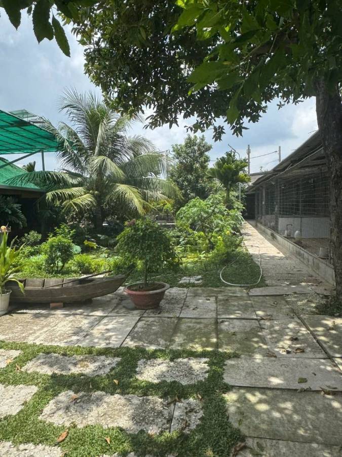 Bán nhà mặt tiền - Xã Vĩnh Lộc A  -  Huyện Bình Chánh  - 1000m² - 24tỷ - (ảnh - 3)