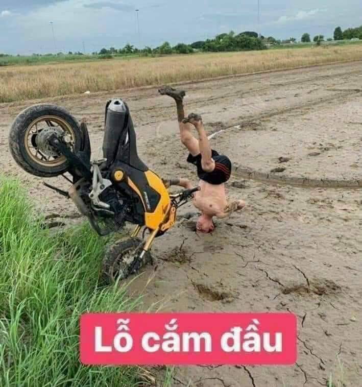 Bán đất - Xã Vĩnh Lộc A  -  Huyện Bình Chánh  - 195m² - 3.2tỷ - (ảnh - 0)