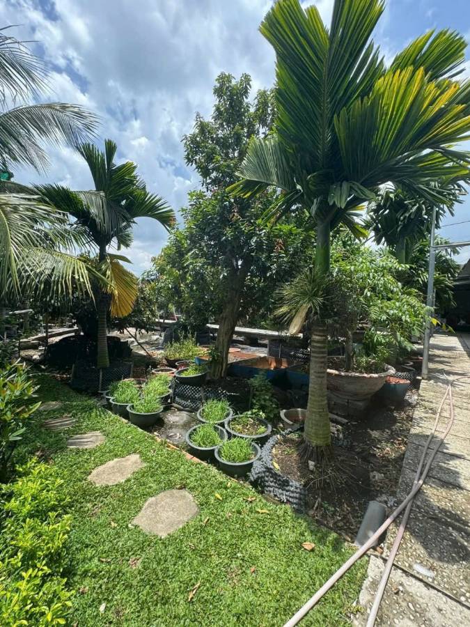 Bán nhà mặt tiền - Xã Vĩnh Lộc A  -  Huyện Bình Chánh  - 1000m² - 24tỷ - (ảnh - 2)