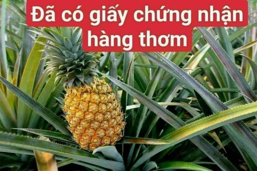 Bán đất - Long An - 1500m² - 3.5tỷ - (ảnh - 1)