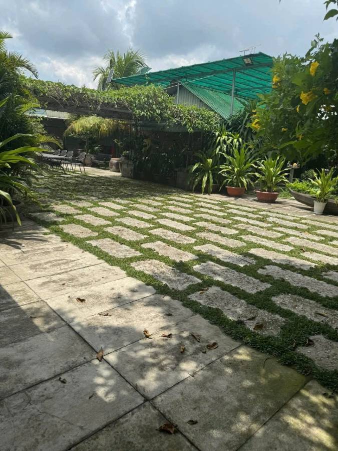 Bán nhà mặt tiền - Xã Vĩnh Lộc A  -  Huyện Bình Chánh  - 1000m² - 24tỷ - (ảnh - 4)