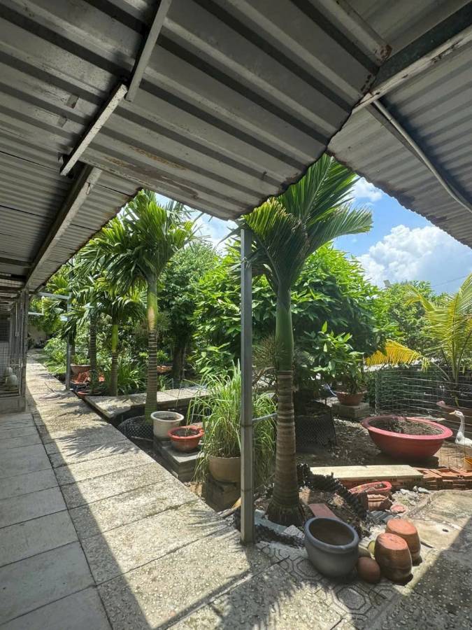 Bán nhà mặt tiền - Xã Vĩnh Lộc A  -  Huyện Bình Chánh  - 1000m² - 24tỷ - (ảnh - 5)