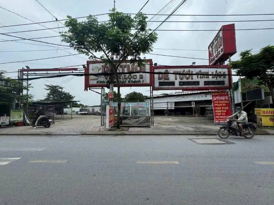 Bán đất - Xã Vĩnh Lộc A  -  Huyện Bình Chánh  - 8000m² - 68tỷ - (ảnh - 0)