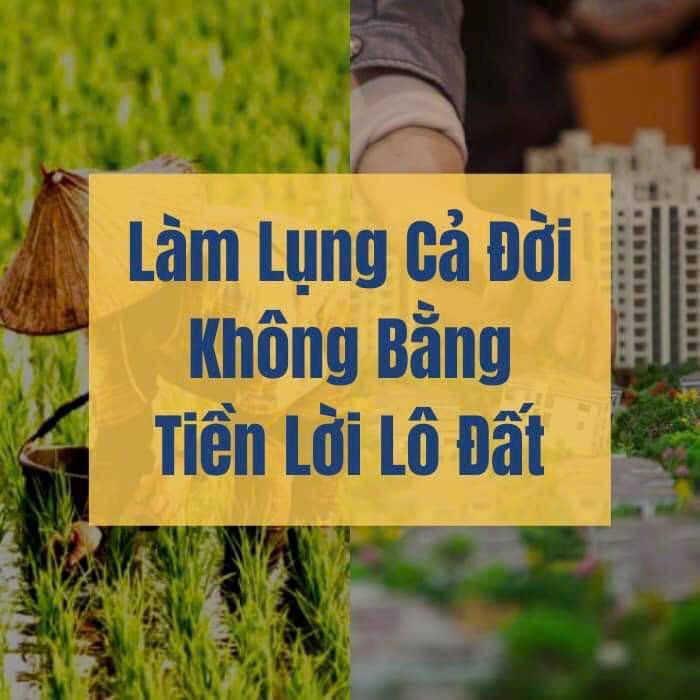 Bán đất - Xã Vĩnh Lộc A  -  Huyện Bình Chánh  - 250m² - 6.4tỷ - (ảnh - 0)