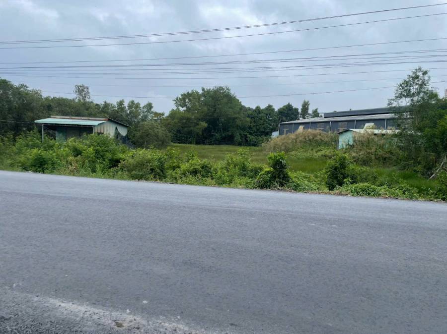 Bán đất - Xã Thuận Nghĩa Hòa  -  Huyện Thạnh Hóa  - 2000m² - 7.5tỷ - (ảnh - 2)