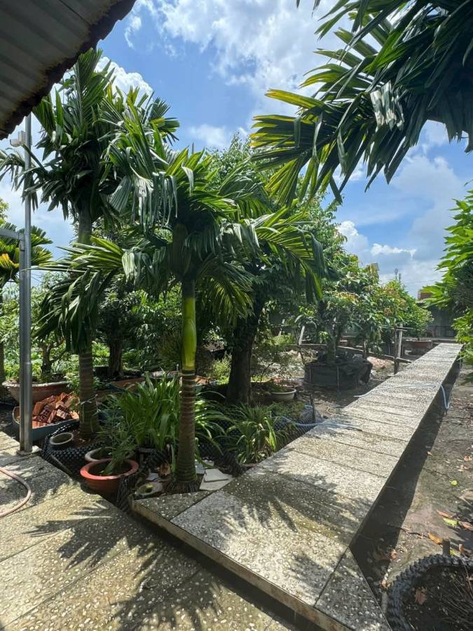 Bán nhà mặt tiền - Xã Vĩnh Lộc A  -  Huyện Bình Chánh  - 1000m² - 24tỷ - (ảnh - 1)