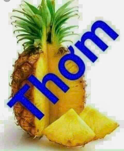 Bán đất - Xã Vĩnh Lộc B  -  Huyện Bình Chánh  - 413m² - 10.5tỷ - (ảnh - 0)