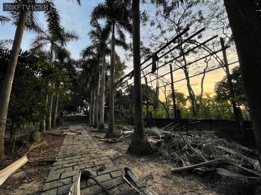 💜 - SIÊU PHẨM KHO XƯỞNG VĨNH LỘC A BÌNH CHÁNH - MẶT ĐƯỜNG 8 M - DT KHỦNG - 19600M2 - 125 X 231 - 23 - Xã Vĩnh Lộc A  -  Huyện Bình Chánh  - (ảnh - 3)