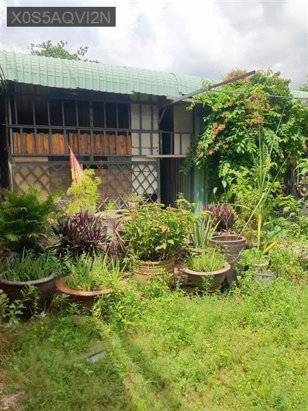 Bán kho xưởng - Phường Bình Trị Đông A  -  Quận Bình Tân  - 2228m² - 37tỷ - (ảnh - 1)