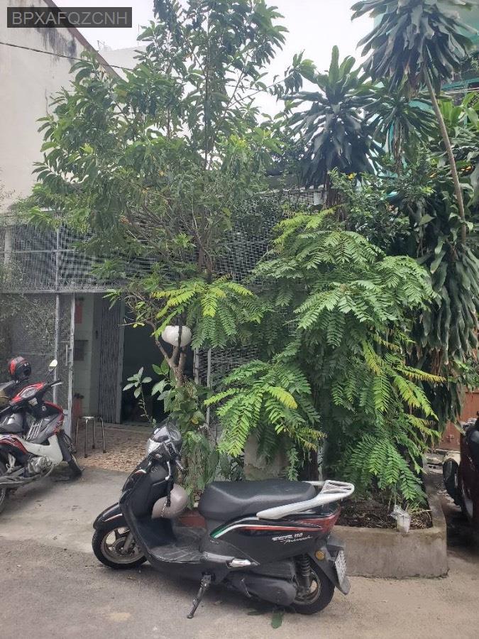 🏚 - TÂN HÒA ĐÔNG - BÌNH TÂN - HẺM 8M THÔNG THẲNG 1 TRỤC - 113M2 - CHỈ 9 TỶ. - Phường Bình Trị Đông  -  Quận Bình Tân  - (ảnh - 0)