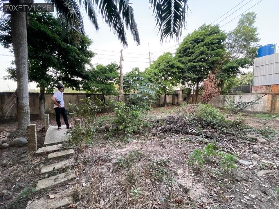 💜 - SIÊU PHẨM KHO XƯỞNG VĨNH LỘC A BÌNH CHÁNH - MẶT ĐƯỜNG 8 M - DT KHỦNG - 19600M2 - 125 X 231 - 23 - Xã Vĩnh Lộc A  -  Huyện Bình Chánh  - (ảnh - 4)