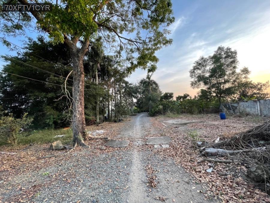 💜 - SIÊU PHẨM KHO XƯỞNG VĨNH LỘC A BÌNH CHÁNH - MẶT ĐƯỜNG 8 M - DT KHỦNG - 19600M2 - 125 X 231 - 23 - Xã Vĩnh Lộc A  -  Huyện Bình Chánh  - (ảnh - 5)